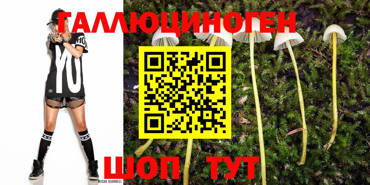Галлюциногенные грибы прущие грибы  Псилоцибиновые грибы Psilocybe  Вход с VPN  Красноуфимск 